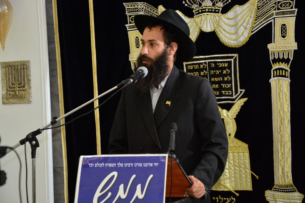 תמונה (40) (Large)